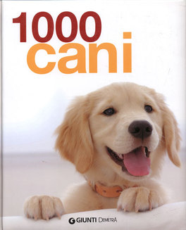 1000 Cani 