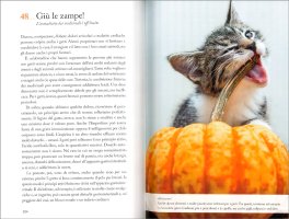 111 Cose sui Gatti che Devi Proprio Sapere — Libro - 3