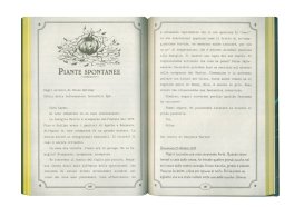 13 Racconti da Brividi — Libro - 3