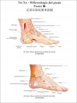 2 Poster di Tui Na Riflessologia del Piede — Poster - 2