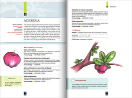 200 Piante del Benessere — Libro - 3