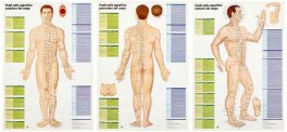 3 Mappe dei Punti in MTC — Poster - 1