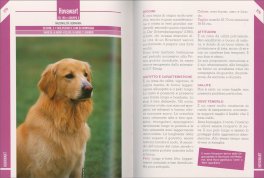 342 Cani di Razza — Libro - 3