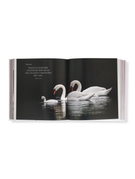 365 Giorni di Immagini e Pensieri per lo Spirito — Libro - 2