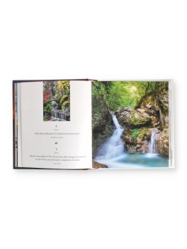 365 Idee per una Vita Sana e Felice — Calendario - 3