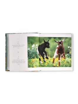 365 Momenti per Ritrovare Armonia nel Ciclo della Vita — Libro - 3