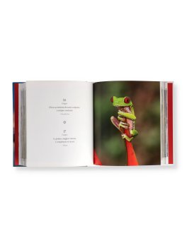 365 Pensieri Mindfulness — Libro - 4