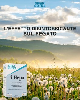 4 Hepa - 5