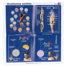 5 POSTER DI ANATOMIA SOTTILE — POSTER
5 tavole - anatomia sottile
di Roberto Zamperini

