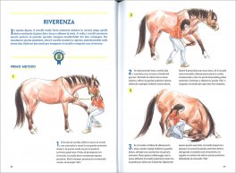 50 Giochi e Attività per Educare il tuo Cavallo — Libro - 3