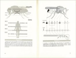 A Caccia di Geni — Libro - 3