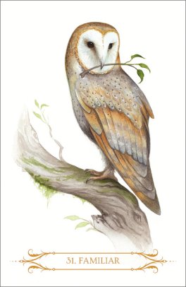 A Compendium of Witches Oracle - 5