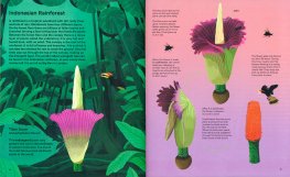 A Home for Every Plant — Libro - 3