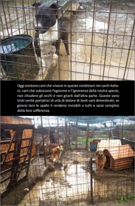 A Ognuno la sua Cuccia — Libro - 3