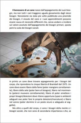 A Ognuno la sua Cuccia — Libro - 5