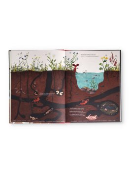 A Spasso nella Natura — Libro - 2