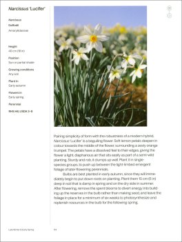A Year in Bloom — Libro - 3