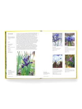 A Year in Bloom — Libro - 4