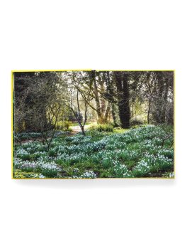 A Year in Bloom — Libro - 5
