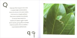 Abbecedario Straordinario — Libro - 3
