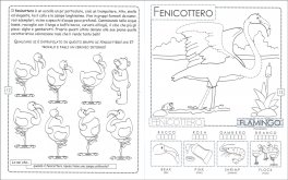 ABC degli Animali — Libro - 3
