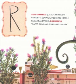 Abc il Mio Primo Alfabetiere — Libro - 3