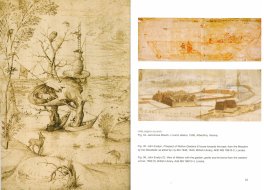 Abitare gli Alberi fra Terra e Cielo — Libro - 2