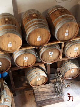 Aceto Balsamico di Modena I.G.P. - Biologico e Biodinamico - 5