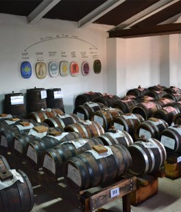 Aceto di Vino Bianco Trebbiano Biologico Biodinamico - 5