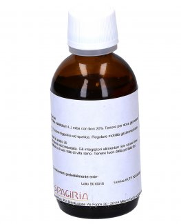 Achillea A.S. - 2