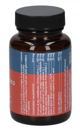 Acido Alfa Lipoico Complex - 2