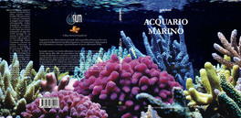 Acquario Marino  — Libro - 2