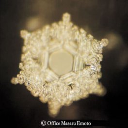 Adesivo per la Memoria dell'Acqua - Serie Crystal - Made in Italy - 3