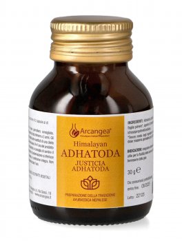 Adhatoda - Justicia Adhatoda - 1