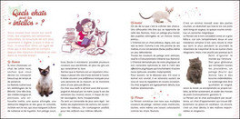 Adotta un Gatto — Libro - 3