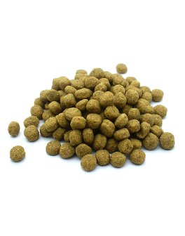 Crocchette Adult Superior Hypo Allergic per Cani - 2