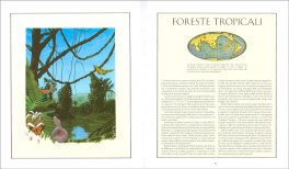 After Man - 40° Anniversario — Libro - 3