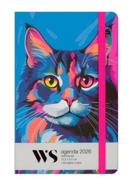 Agenda Gatto Pop 2026 — Agenda - 1