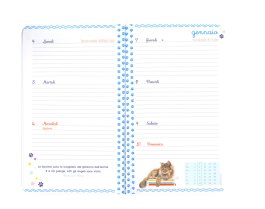 Agenda Settimanale 2027 Il Gatto e la Luna — Agenda - 4