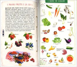Agendina - Lunario delle Semine e dei Lavori — Libro - 4