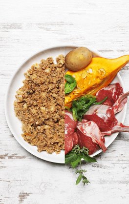 Agnello con Patata, Zucca e Albicocca per Cani - 5