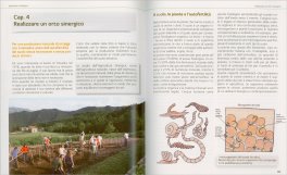 Agricoltura Sinergica — Libro - 3