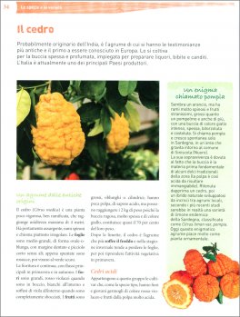 Agrumi in Vaso — Libro - 3