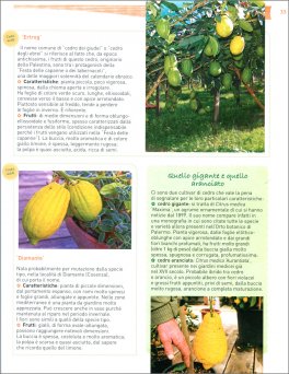 Agrumi in Vaso — Libro - 4