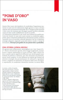 Agrumi in Vaso — Libro - 3