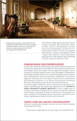 Agrumi in Vaso — Libro - 4