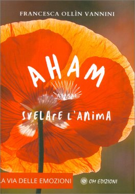 Aham — Libro - 1