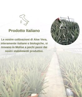Alba - Succo di Aloe Vera Biologico - 4