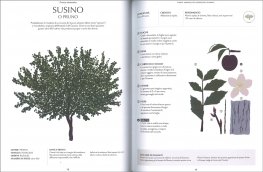 Alberi — Libro - 3
