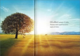 Alberi — Libro - 3